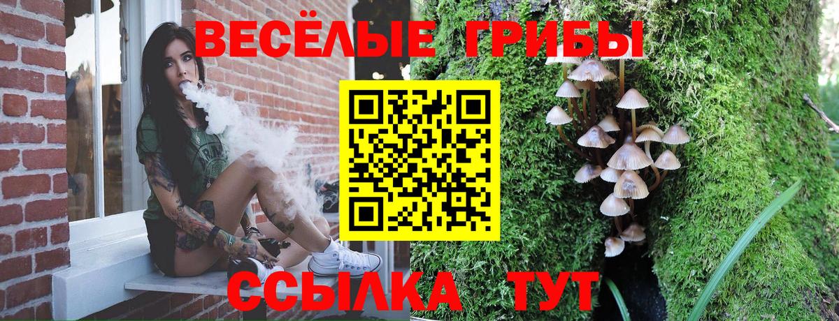 Псилоцибиновые грибы Magic Shrooms  Галлюциногенные грибы Psilocybine cubensis  хочу   Вход с VPN  Лыткарино 