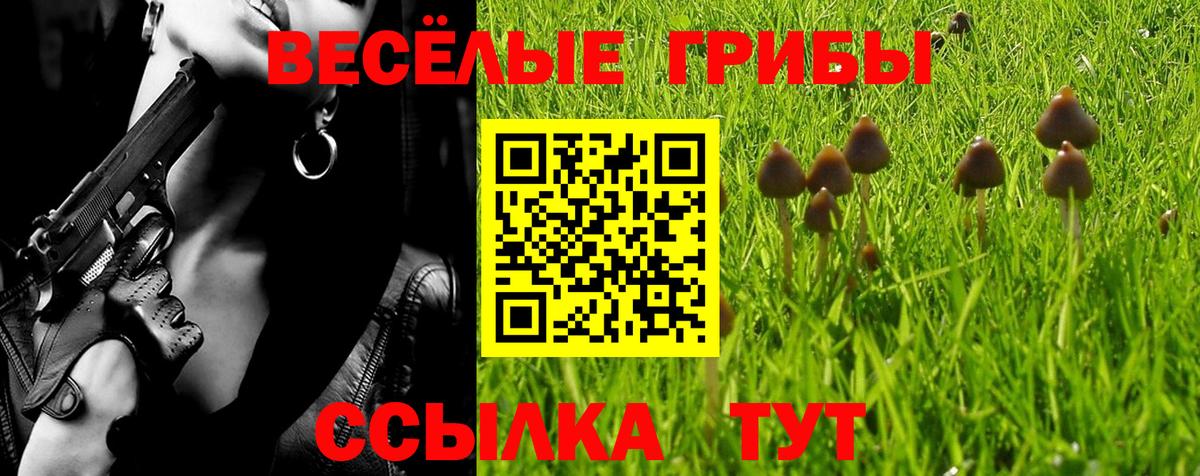 Псилоцибиновые грибы MAGIC MUSHROOMS Лыткарино